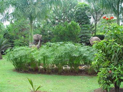 Mosa Court Apartments Kampala Ngoại thất bức ảnh